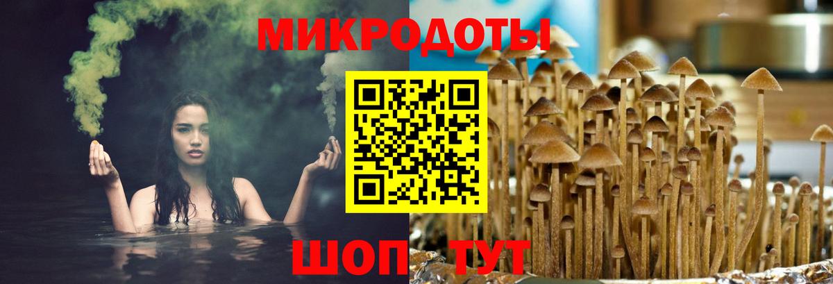 Псилоцибиновые грибы мицелий  Галлюциногенные грибы MAGIC MUSHROOMS  цены наркотик  Усть-Илимск  Вход с VPN 